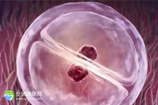【2026最新】秦皇岛助孕就医指南：本地条件与河北周边资源对比