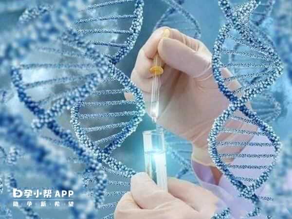 【2026实测】河北地区供卵助孕费用多少钱？六项明细一次说清