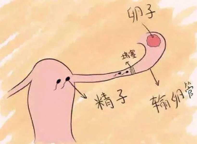 【2026实测】石家庄长江医院助孕靠谱吗？真实就诊体验与费用盘点